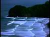 dvd_00020_small.jpg