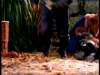 dvd_00058_small.jpg