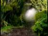 dvd_000159_small.jpg
