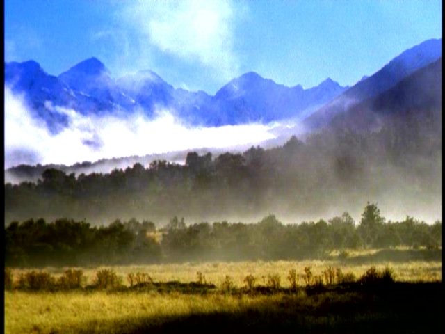 dvd_000101.jpg