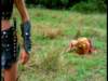 dvd_00051_small.jpg