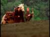 dvd_00049_small.jpg