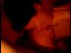 dvd_00071_small.jpg