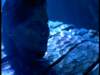 dvd_000133_small.jpg