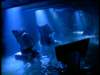 dvd_000146_small.jpg