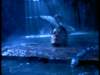 dvd_0004_small.jpg