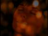dvd_00079_small.jpg