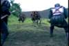 pdvd_015_small.jpg