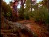 dvd_00092_small.jpg