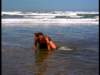 dvd_000113_small.jpg