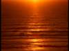 dvd_000115_small.jpg