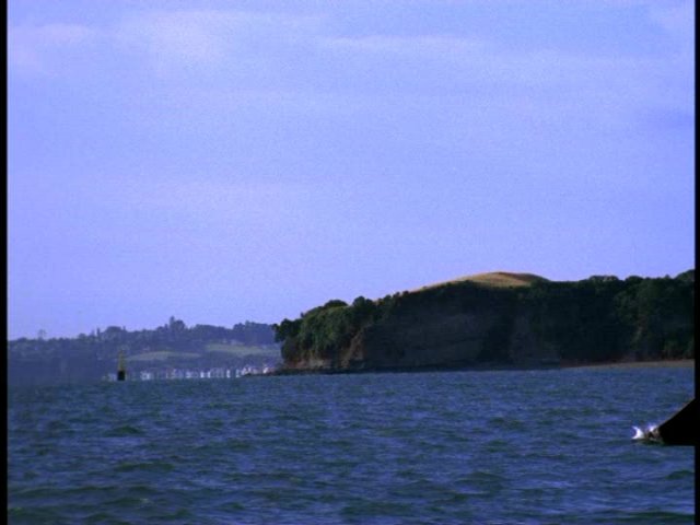 dvd_00044.jpg