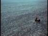 dvd_00048_small.jpg