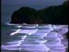 dvd_0004_small.jpg