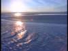 dvd_0009_small.jpg