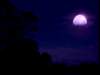 dvd_00048_small.jpg