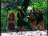 dvd_00015_small.jpg