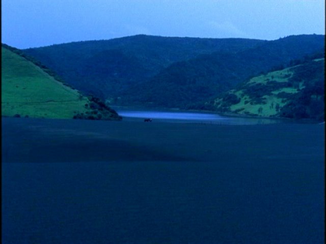 dvd_00011.jpg