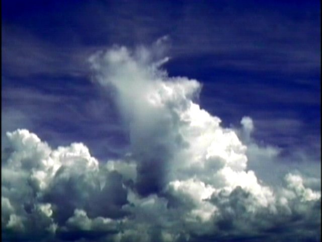 dvd_00023.jpg