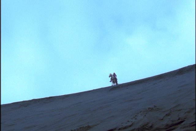 pdvd_007.jpg