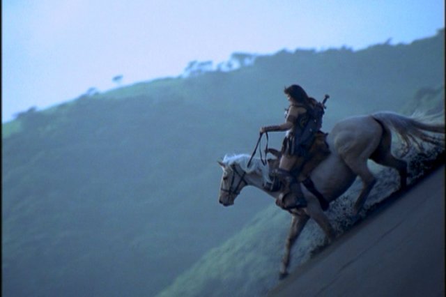 pdvd_014.jpg