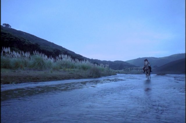 pdvd_015.jpg