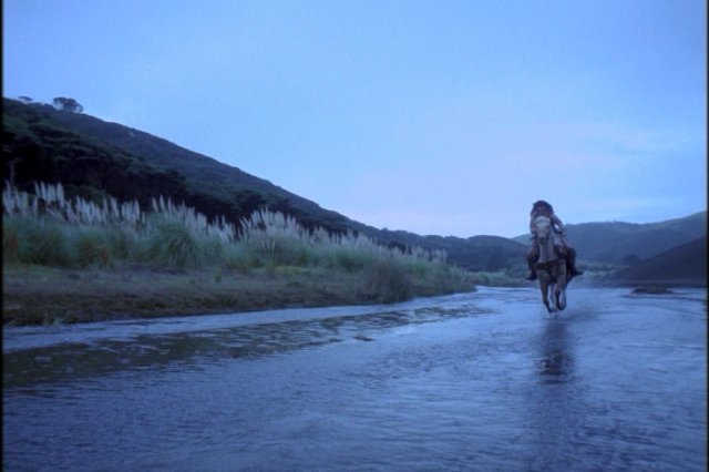 pdvd_018.jpg