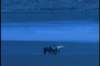 pdvd_109_small.jpg