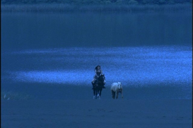 pdvd_142.jpg