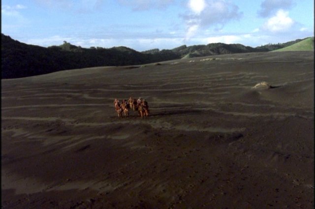 pdvd_145.jpg