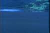 pdvd_148_small.jpg