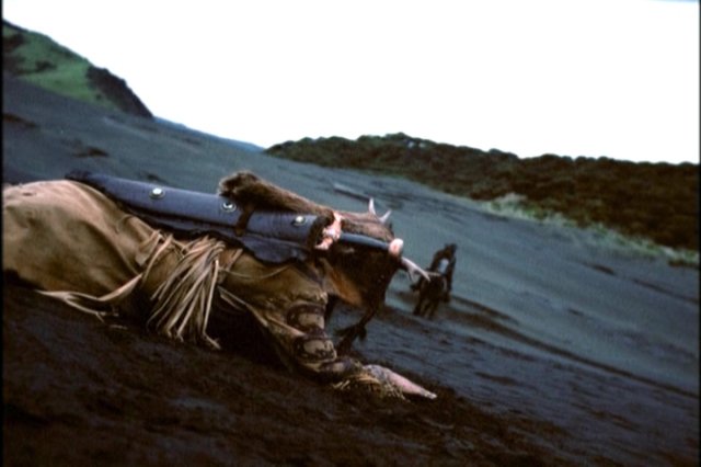 pdvd_171.jpg