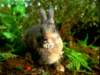 dvd_00036_small.jpg