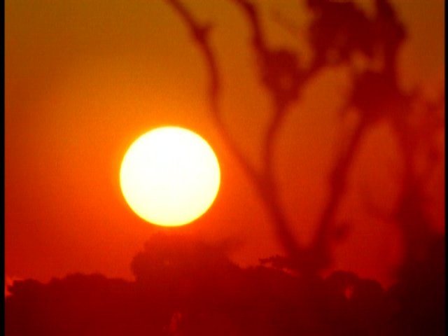 dvd_000128.jpg