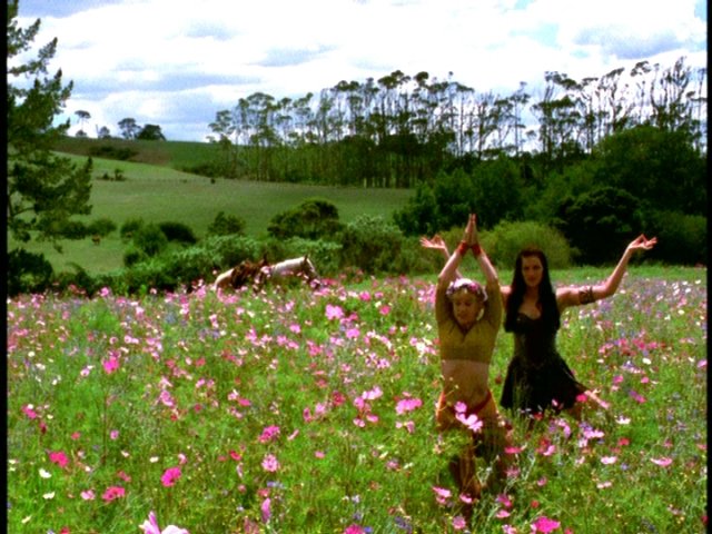 dvd_0002.jpg