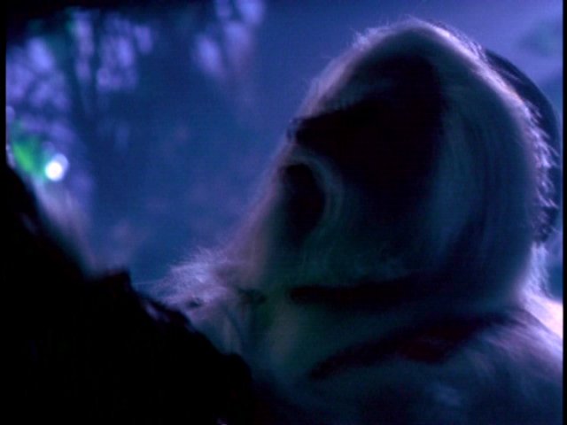 dvd_00050.jpg