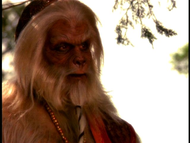 dvd_00061.jpg