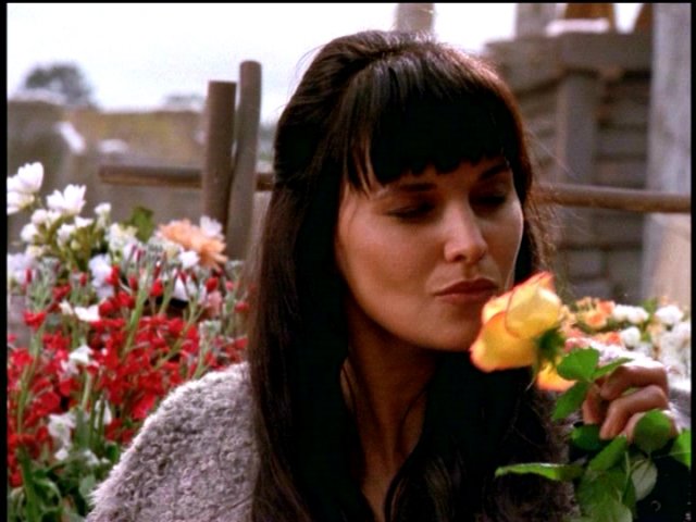 dvd_00039.jpg