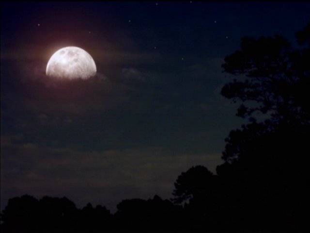 dvd_00070.jpg