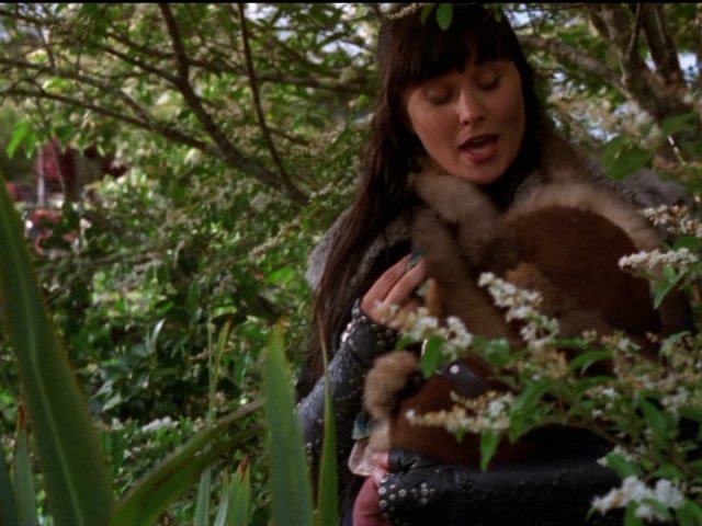 dvd_00092.jpg