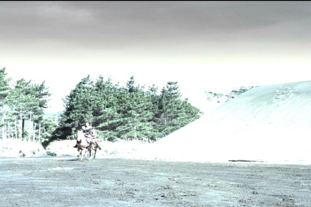 pdvd_056.jpg