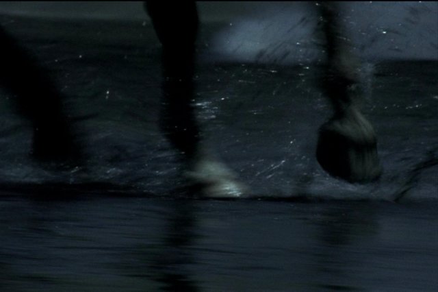 pdvd_072.jpg