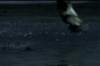 pdvd_073_small.jpg