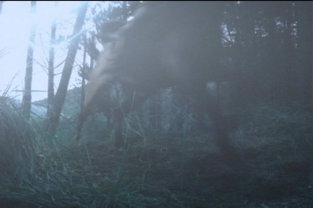 pdvd_104.jpg
