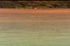 pdvd_125_small.jpg