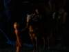 dvd_00055_small.jpg