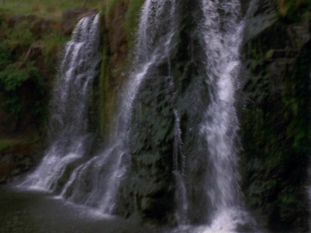 dvd_0002x.jpg