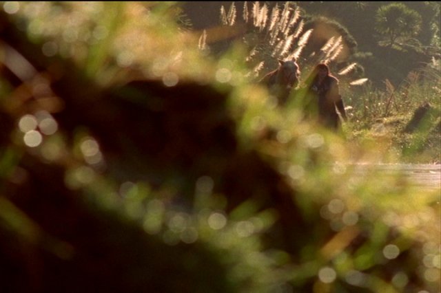 pdvd_001.jpg