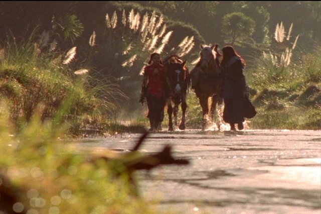 pdvd_005.jpg