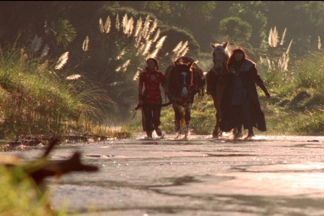 pdvd_008.jpg